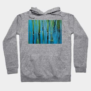 ‘Reedy Or Not’ - reed-bed reflections Hoodie